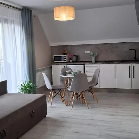 Séjour chez l'habitant Jarmar - Sala Kominkowa Z Bilardem, Wewnetrzny Oraz Zewnetrzny Plac Zabaw